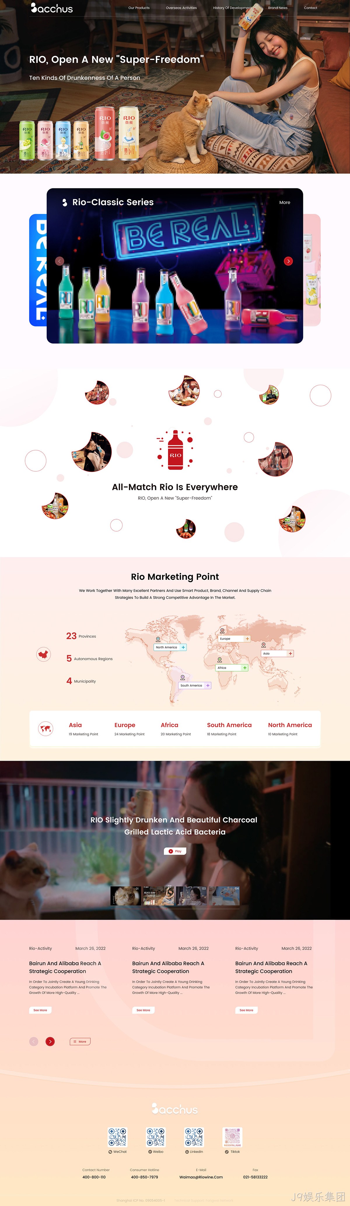 RIO锐澳海外网站案例
