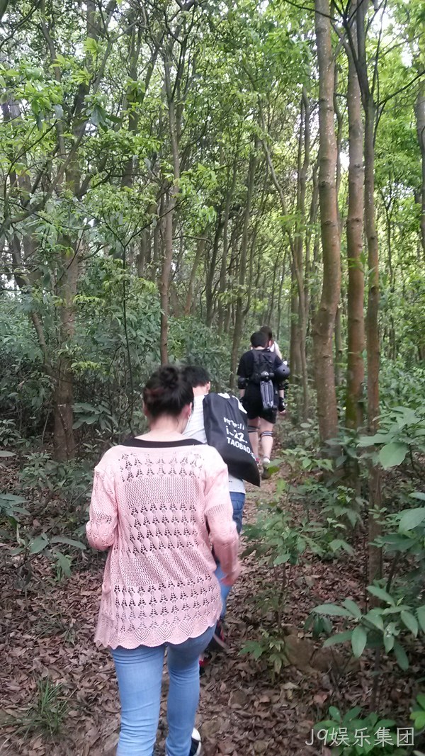 J9娱乐集团仙湖行