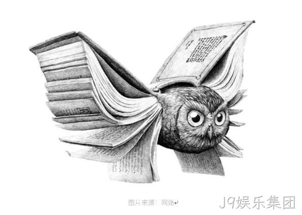 网站设计能力一